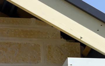 soffit repair Butter Bank